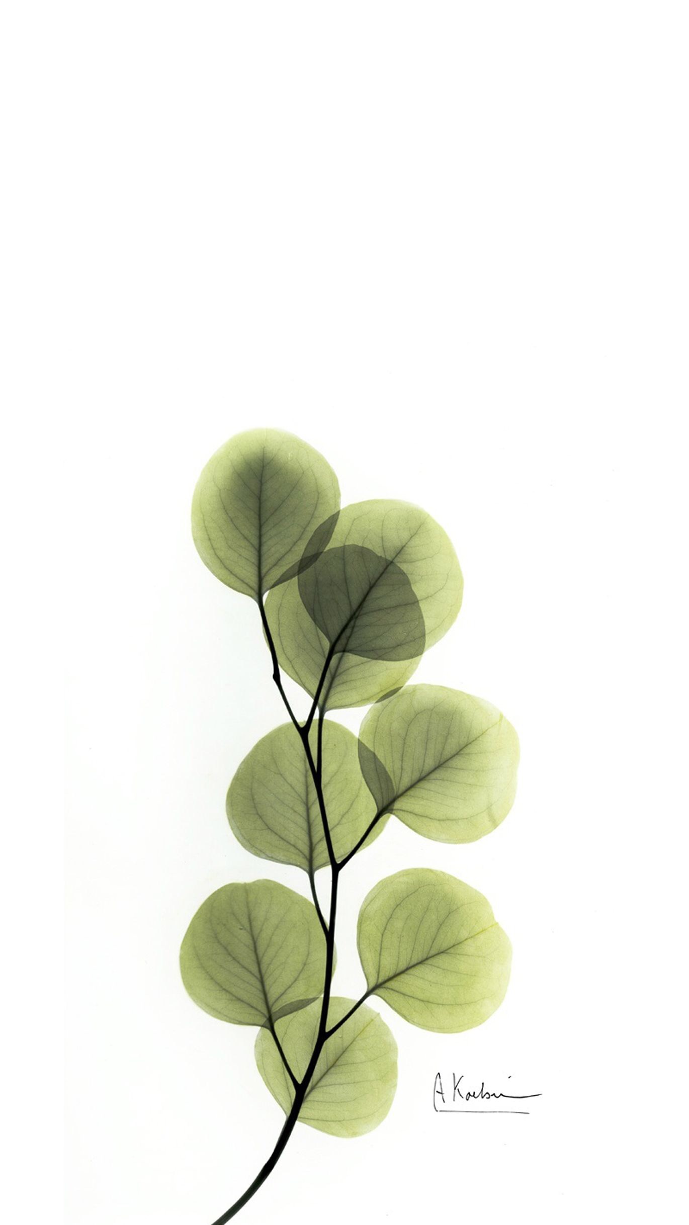 女孩发怪不好意思表情啥意思,不好意思啊是什么意思