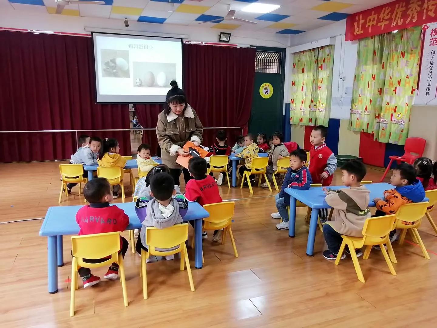 小哈佛幼儿园的宝贝们,小哈佛儿童