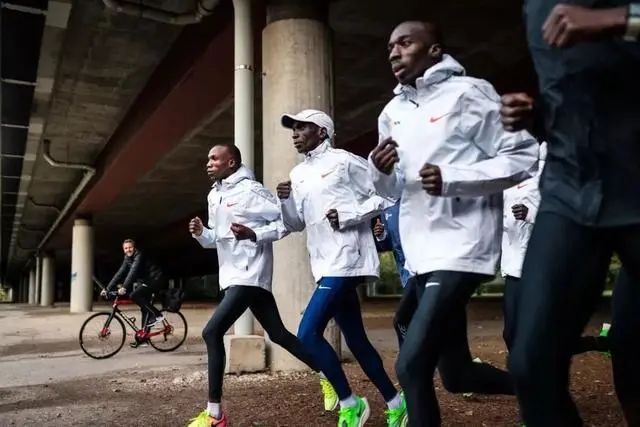 大迫杰基普乔格兔子,大迫杰问基普乔格