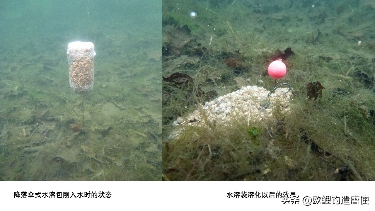 有哪些基础钓法初学者要学会,新手最稳妥的一种钓法