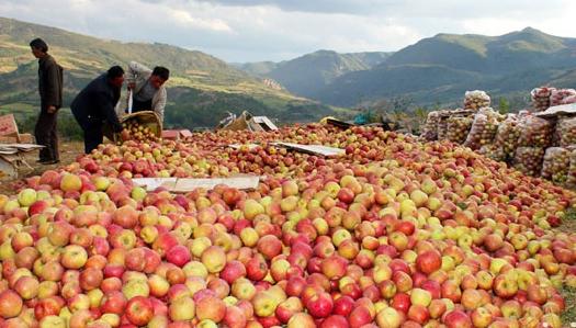 贵州除了茅台还有什么特产,贵州酒茶土特产