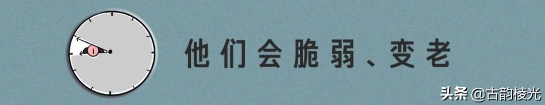 中国父亲图鉴爸爸不完美时刻,中国爸爸图片大全