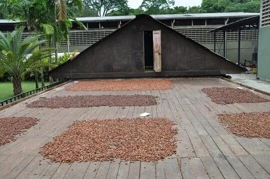 山东欧米奇烘焙视频,山东欧米奇西点西餐学院靠谱吗