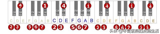 电子琴母亲0基础指法,学习电子琴音阶指法