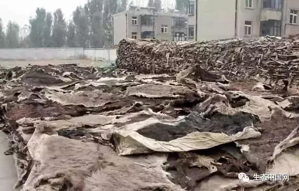 浼犺涓殑闃胯兌,閭d簺琚璇濈殑闃胯兌