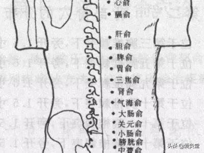 夏天艾灸好还是冬天艾灸好,春天艾灸好还是夏天艾灸好