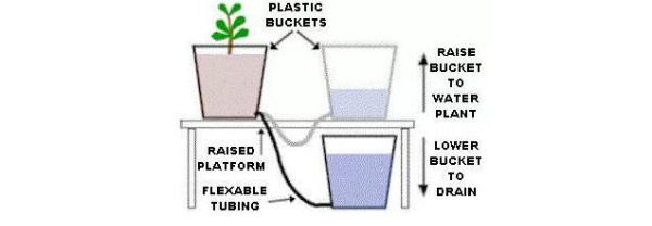 手把手教你在家做无土栽培蔬菜,在家无土种植蔬菜的新技术