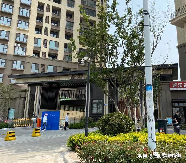 龙湖镇华南城顺丰速运,顺丰速运龙湖南路