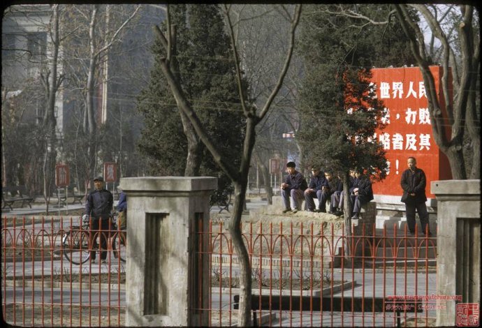 哏都天津图片,哏都新春时天津旧模样