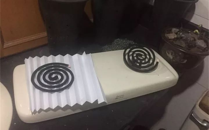 养花的虫害分类及防治,养花如何预防虫害视频教程