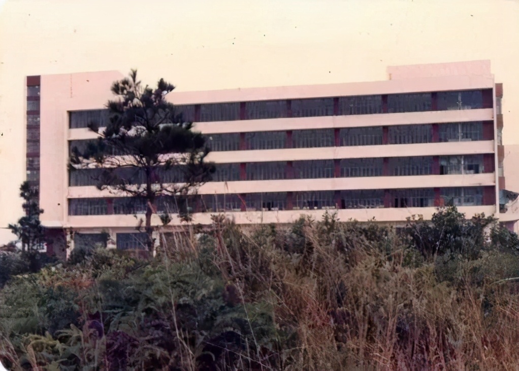 中兴通讯发展大事记,中兴通讯35周年发展历程