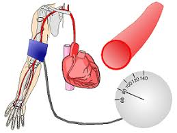 长期低血压犯病有什么好办法,低血压头晕怎么办快速解决