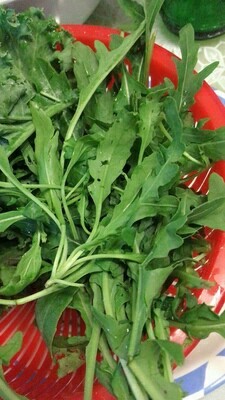 有机蔬菜种植技术大全,种植有机蔬菜怎样选择肥料