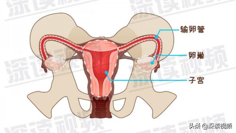 宫外孕一直流血怎么回事,宫外孕是怎么回事呢
