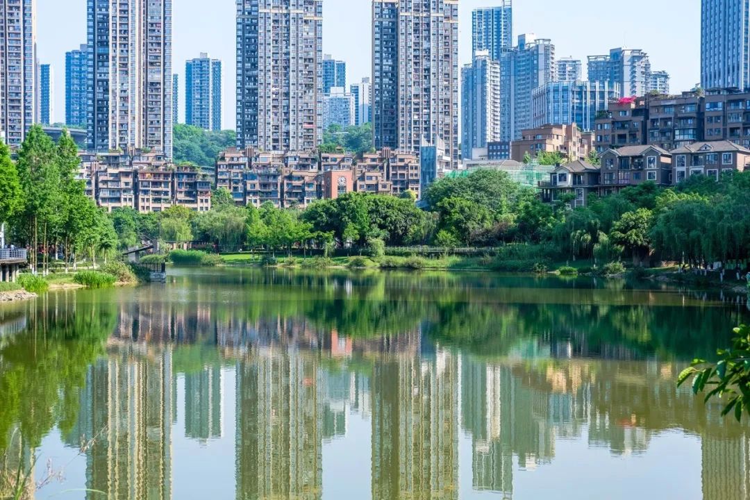 春意盎然的湿地公园,一个风景如画美丽休闲的公园