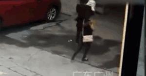 女子被“高空坠狗”砸致一级伤残，无奈狗主人找不到