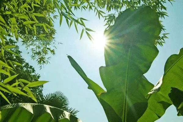 领奖的心情变化,领奖的时候都特别顺利