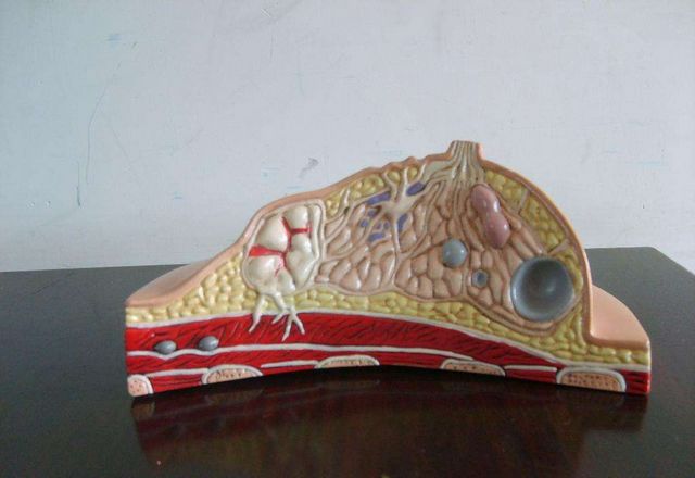 生娃前后对比女,生娃前后女人的变化