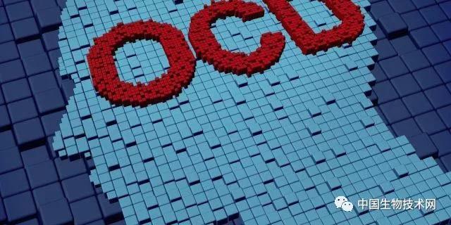 欺骗大脑假手实验完整版沉浸式,欺骗大脑的假手实验国外