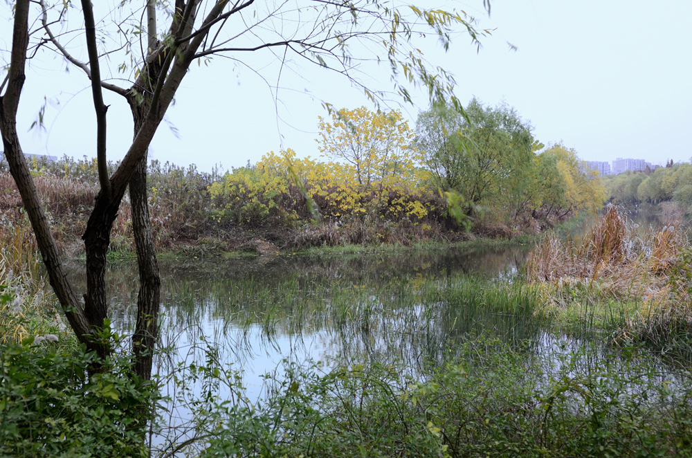 尘封往事重新开始,五角场广场和新江湾城