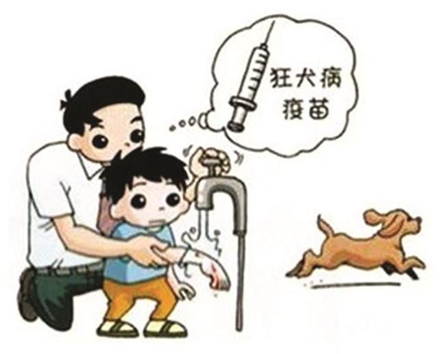 怎样看狗狗是否有狂犬病,怎么看狗狗是否有狂犬病