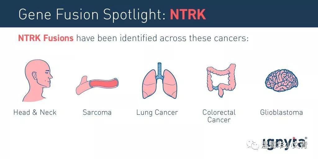 治甲状腺的抗癌药有吗,120万一针抗癌药能治甲状腺癌吗