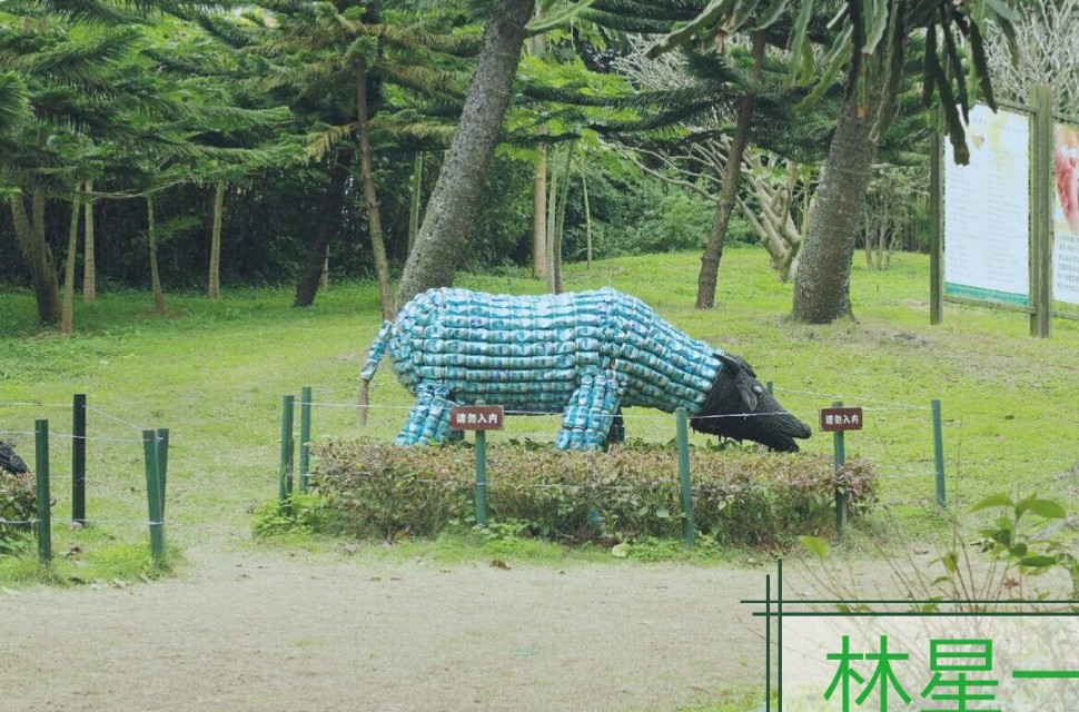 深圳世界公园景点,深圳青青世界景点地址查询