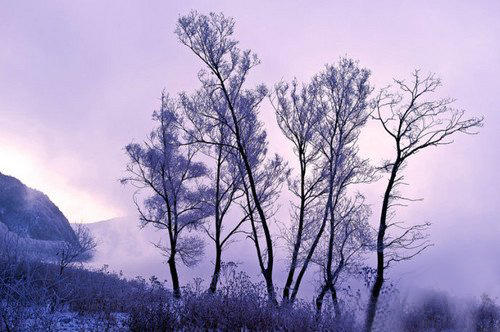 梦中仙境雾气,雾气淡怎么拍出来