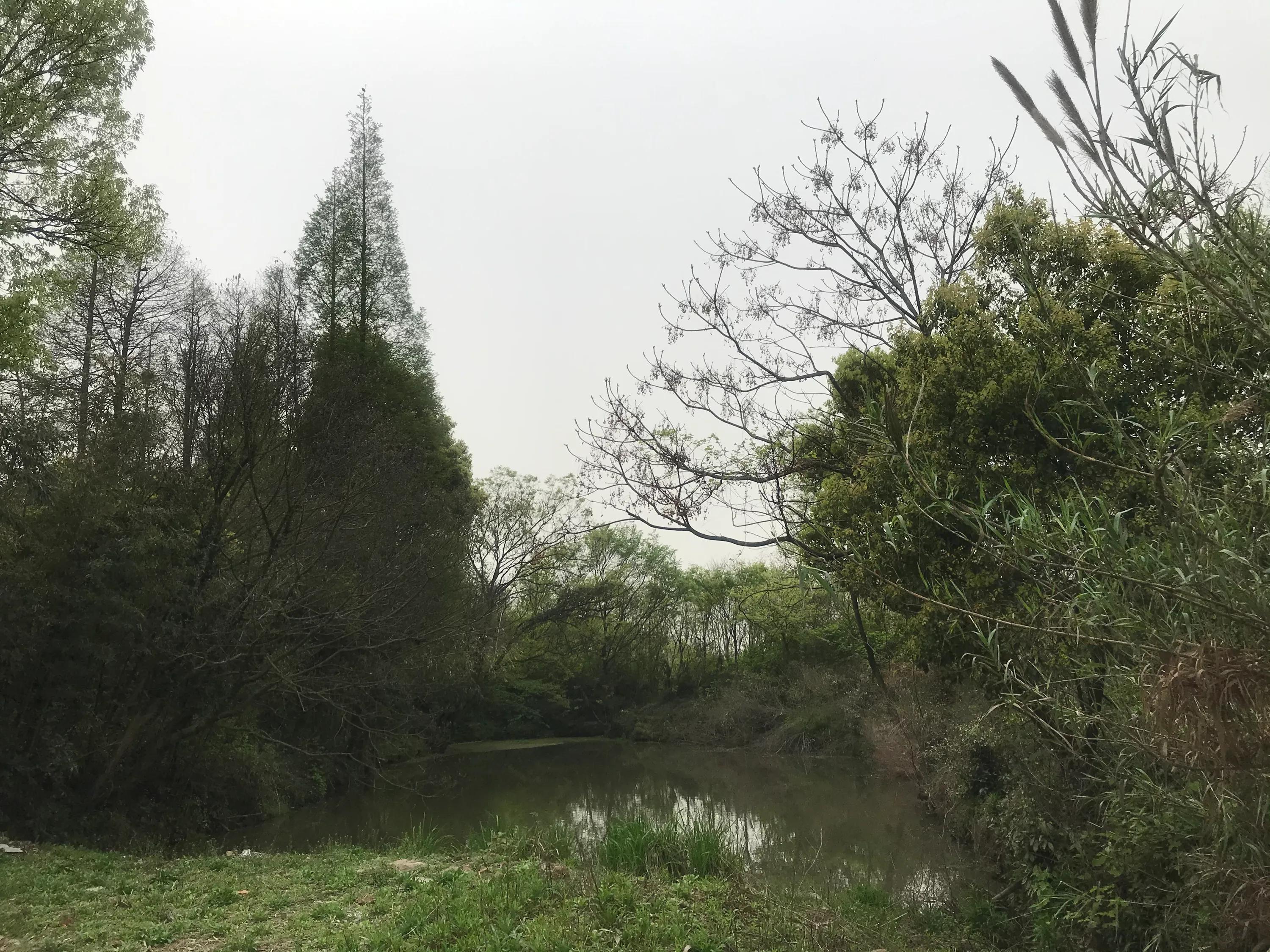 苏州吴江震泽八都,吴江区震泽八都贯桥社区