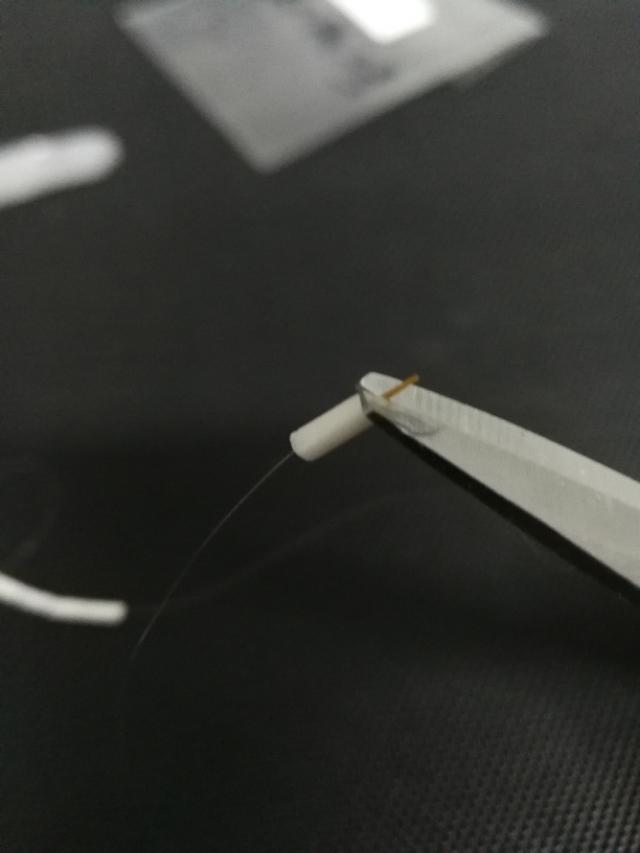 钓鱼专钓小鱼,世界钓鱼之旅钓大鱼