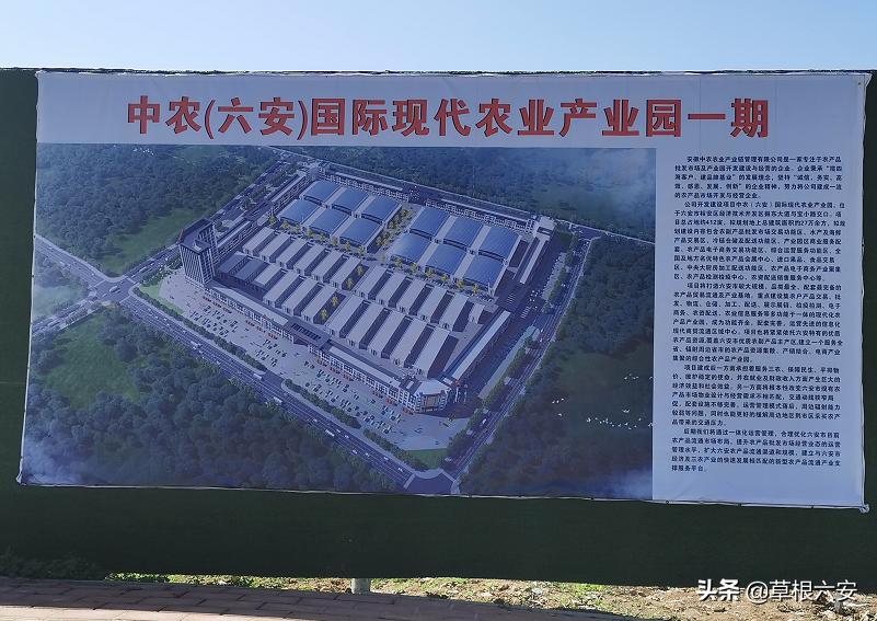 赞！你看，这是了不起的新城南