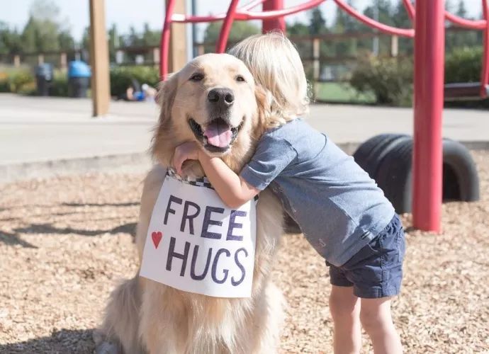 网评“无攻击性”的3种狗，性格温顺，养过的人都懂