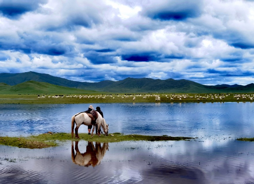 一条绝美草原之路,一条绝美的自驾公路