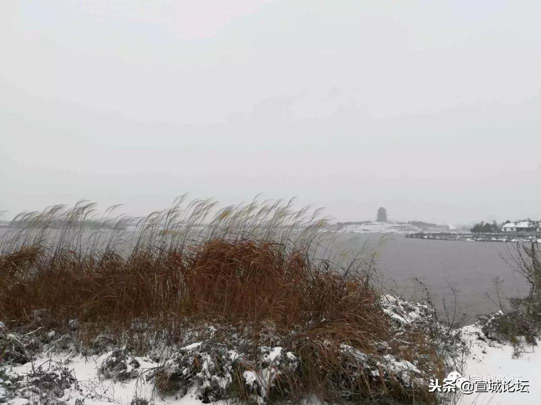 2020安徽宿州大雪暴雪,刚刚宣城发布暴雪预警