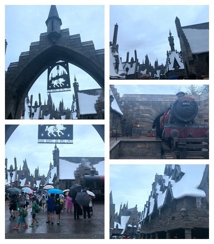 箱根到奈良如何坐车,日本东京京都箱根大阪奈良8日游