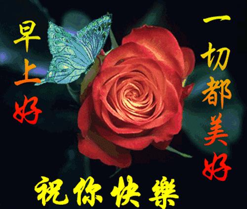 最美早上好祝福语图片,最新早上好带祝福语微信图片