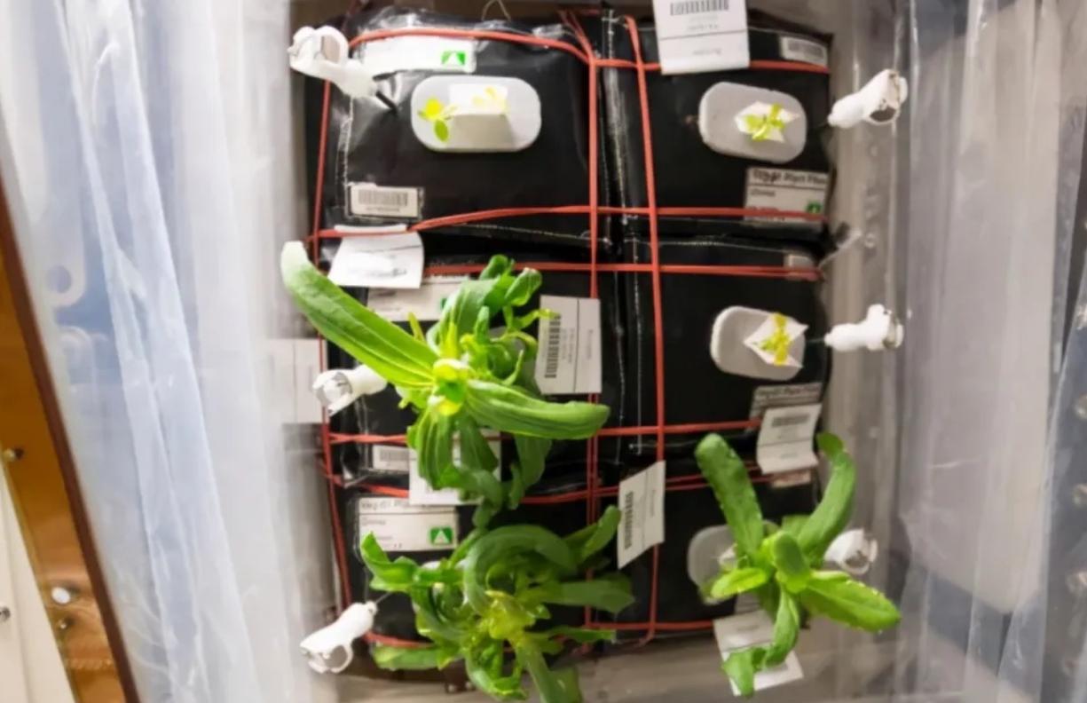 国际空间站出现轻微空气泄漏,国际空间站空气泄漏危害