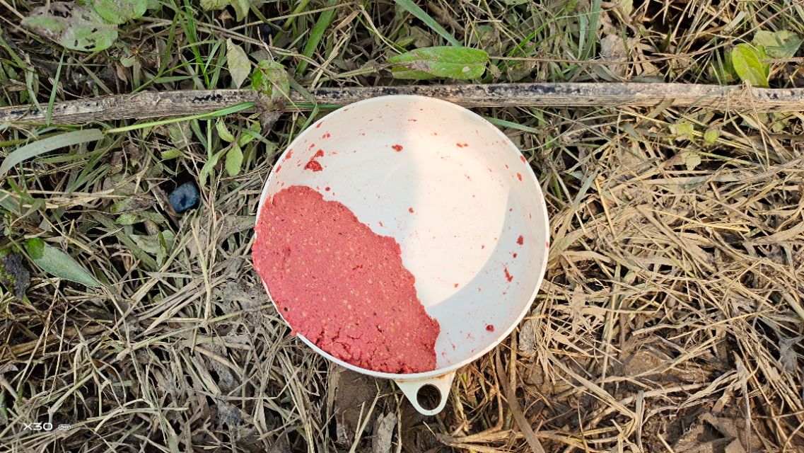 如何钓浮在水面上的鱼,岸钓鲷鱼技巧