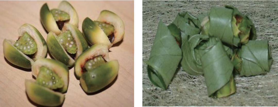 口腔吃槟榔吃坏了怎么修复,吃槟榔口腔内壁长了个疙瘩