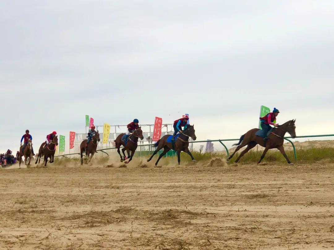 赛马比赛马背上的民族,马背上的民族赛马威武