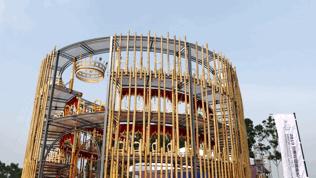 来成都打卡空港花田,成都双流空港花田打卡看飞机