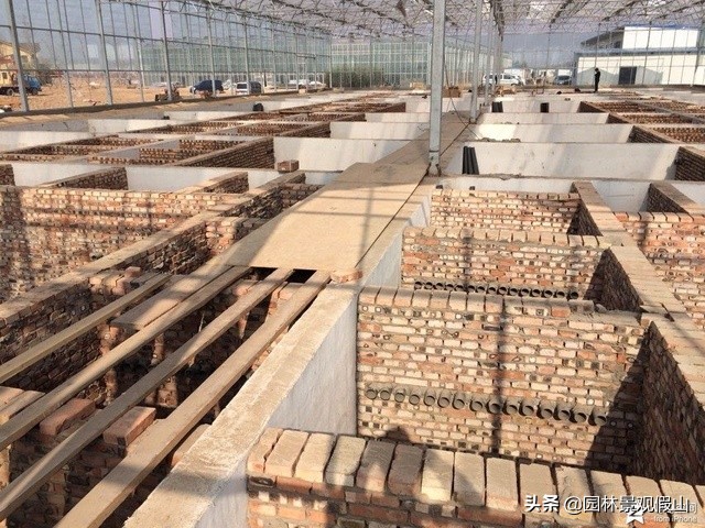 园林假山鱼池设计教程,鱼池假山怎样建才好看