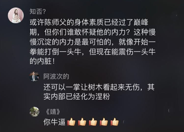 武当第一人陈师行腿法,武当拳法第一人陈师行