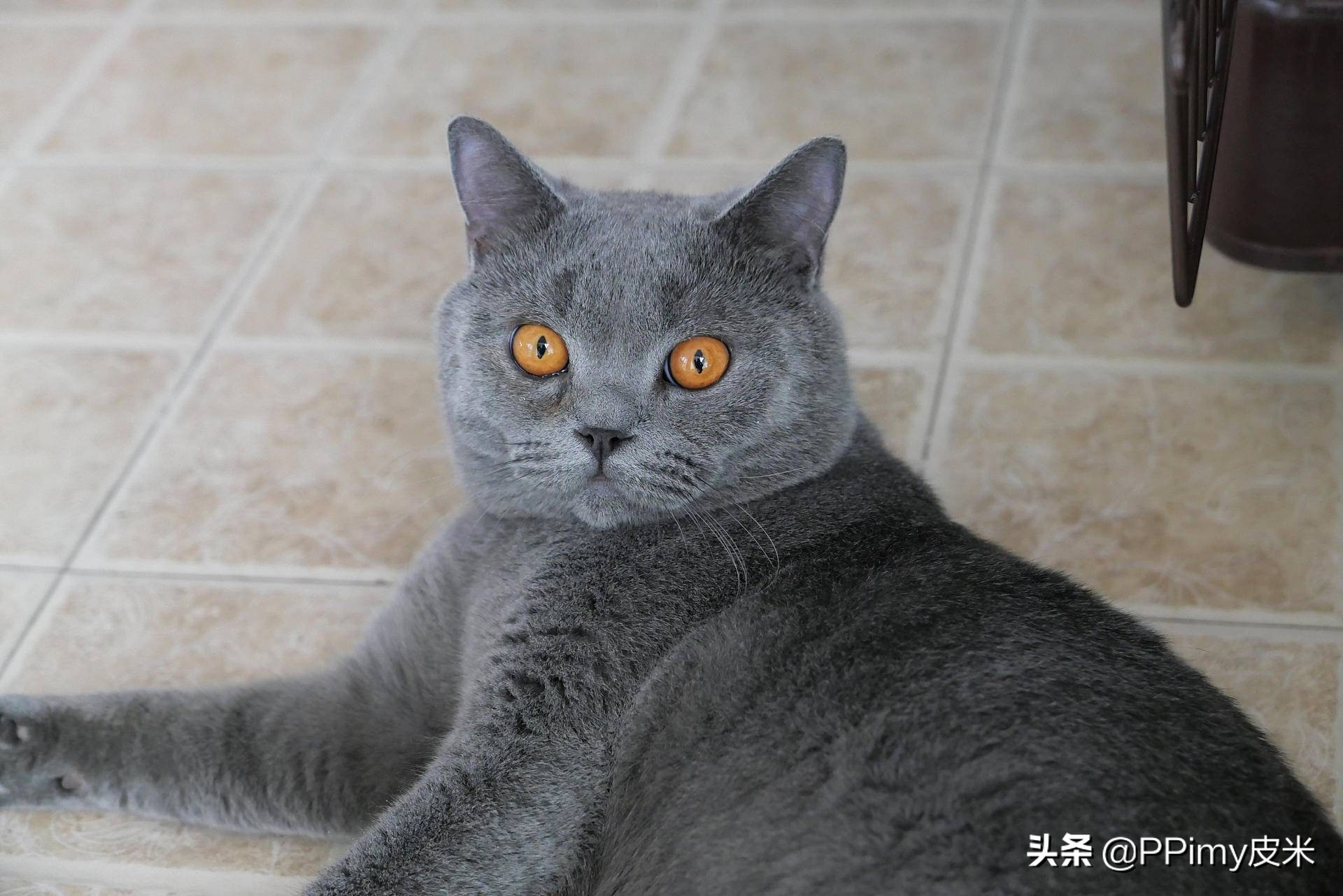 松下相机lx100m2使用感受,松下lx100m2相机官方标配版开箱