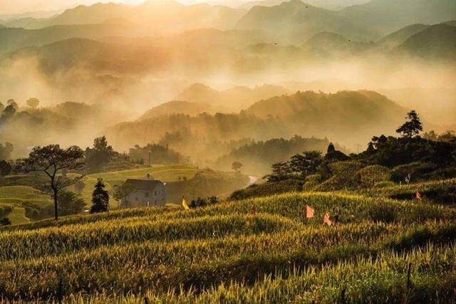 湖南是有色金属之乡吗,湖南为什么叫有色金属