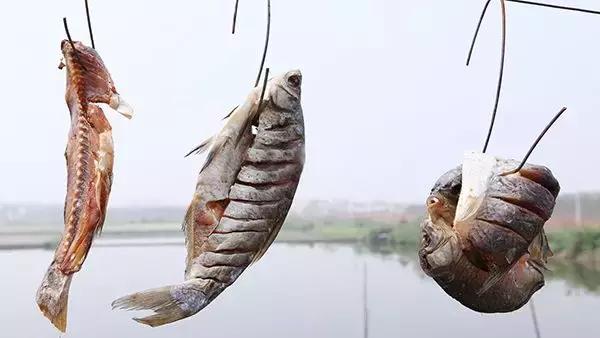 广州隐世峡谷游玩攻略,广州要坐船才能登的小岛