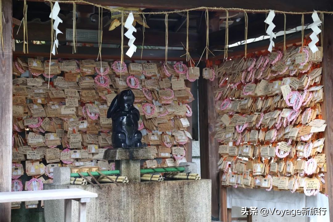 秋天来京都，体验「限定红」的“枫”情万种