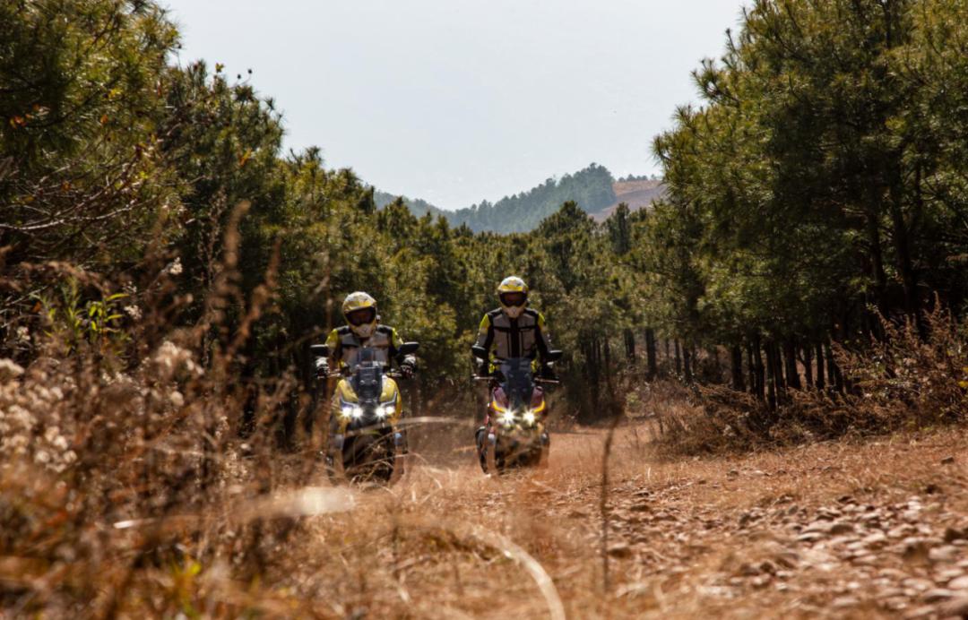 放量大阳深度解析,大阳突破深度解析