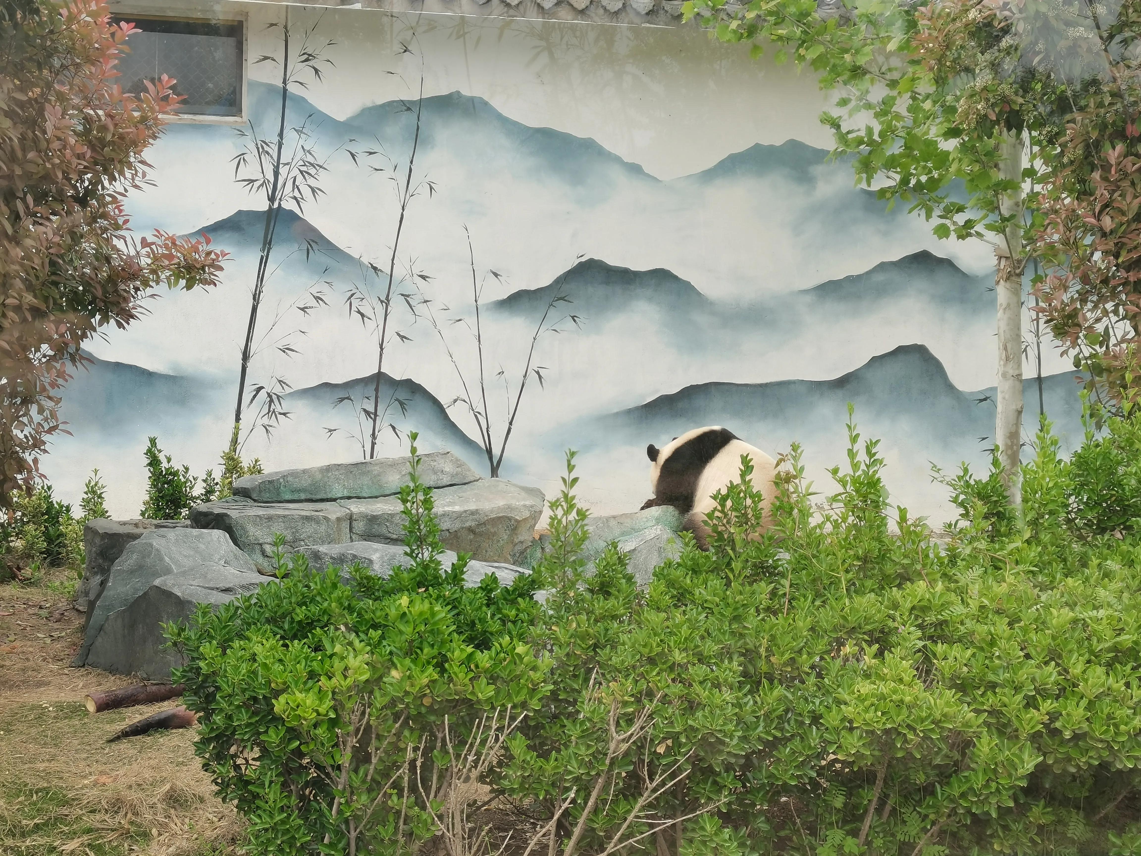 宿州火车站到宿州野生动物园,济南野生动物园和宿州野生动物园