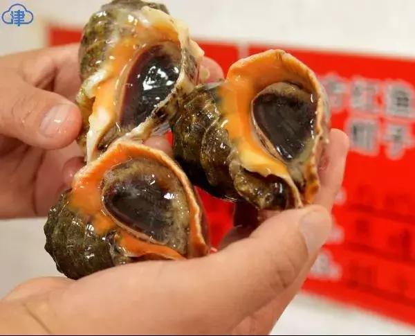 在天津的美食,天津开海美食攻略